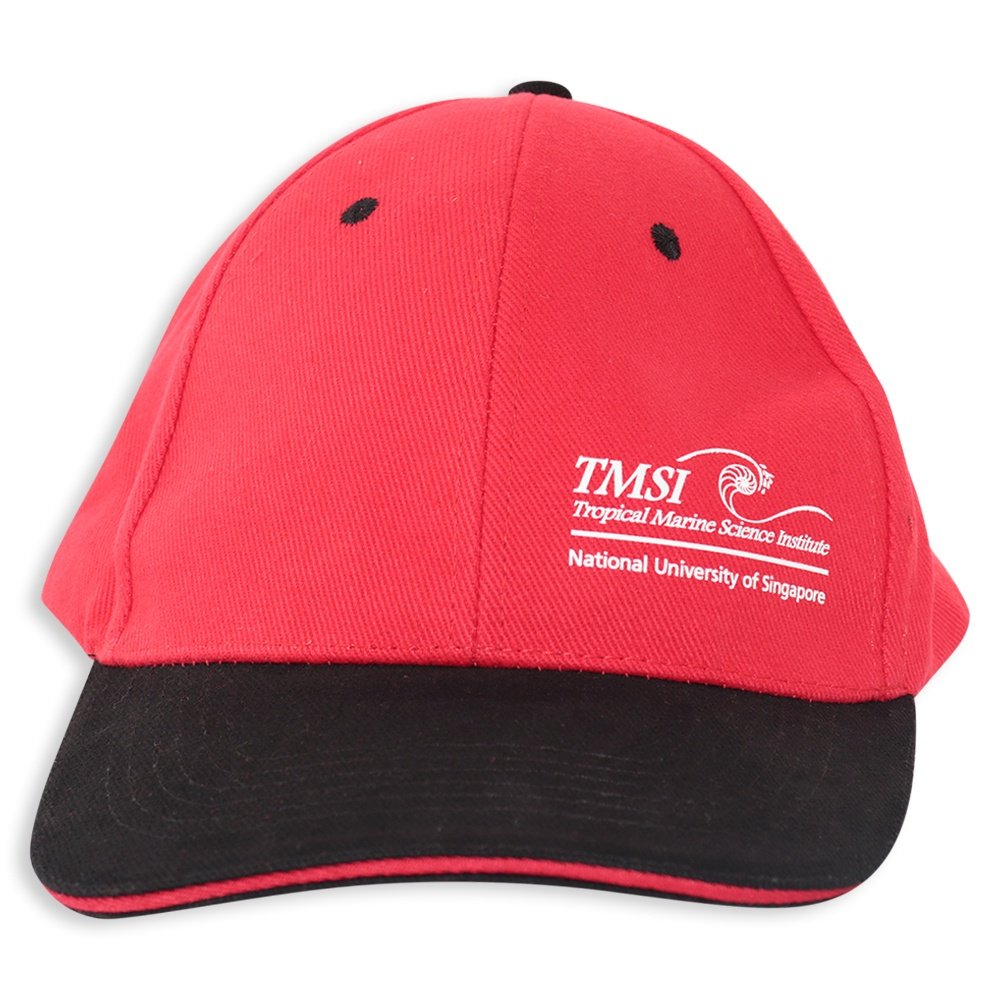 National University of Singapore Event Cap (2026)